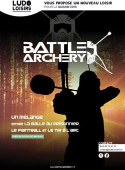 Un m&eacute;lange entre la balle au prisonnier, le paintball et le tir &agrave; l'arc - POUR LA SAISON 2018 - Battle Archery