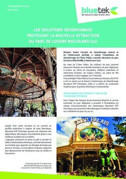 LES SOLUTIONS DESENFUMAGE PROTEGENT LA NOUVELLE ATTRACTION DU PARC DE LOISIRS NIGLOLAND (10) - Salesfactory PR