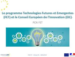 Le programme Technologies Futures et Emergentes (FET) et le Conseil Europ&eacute;en de l'Innovation (EIC) - PCN FET - PSL