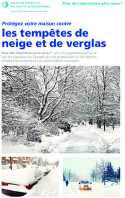 Les tempêtes de neige et de verglas - Protégez votre maison contre