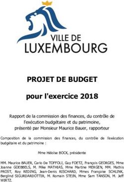 PROJET DE BUDGET pour l'exercice 2018 - Ville de Luxembourg