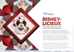 FICHE PRATIQUE POUR LES C.S.E. & ORGANISATEURS DE GROUPES