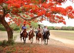 LES PLUS BEAUX GOLFS DE PUNTA CANA - Casa de Campo - République Dominicaine - Travel One