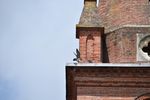Le courrier de l'Hirondelle - Lettre d'information de la LPO Tarn