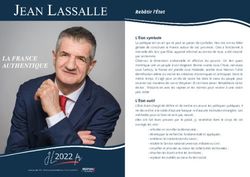 Rebâtir l'État L'État symbole - Jean Lassalle