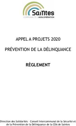RÈGLEMENT APPEL A PROJETS 2020 PRÉVENTION DE LA DÉLINQUANCE - Direction des Solidarités - Conseil Intercommunal de la Sécurité et