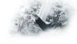 AVIS DU COMIT&Eacute; SCIENTIFIQUE DE KINO-QU&Eacute;BEC