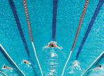 LE GO&Ucirc;T DE L'AVENTURE - EDF AQUA CHALLENGE MAGAZINE - F&eacute;d&eacute;ration Fran&ccedil;aise de Natation