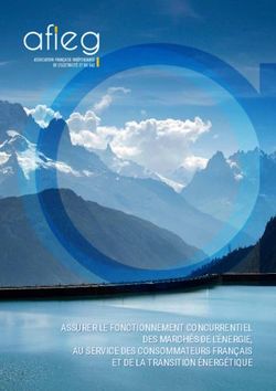 ASSURER LE FONCTIONNEMENT CONCURRENTIEL DES MARCHÉS DE L'ÉNERGIE, AU SERVICE DES CONSOMMATEURS FRANÇAIS ET DE LA TRANSITION ÉNERGÉTIQUE