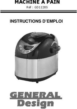 INSTRUCTIONS D'EMPLOI - MACHINE A PAIN