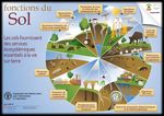 L'enjeu des sols et de l'eau - R&eacute;seau Canop&eacute;