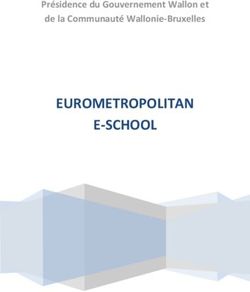 EUROMETROPOLITAN E-SCHOOL - Présidence du Gouvernement Wallon et de la Communauté Wallonie-Bruxelles