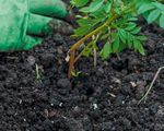 2021 Formation continue - Jardin Suisse