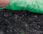 2021 Formation continue - Jardin Suisse