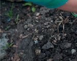 2021 Formation continue - Jardin Suisse