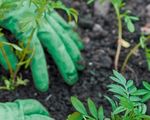 2021 Formation continue - Jardin Suisse