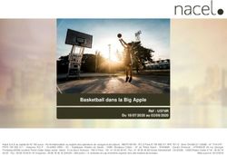 Basketball dans la Big Apple - Nacel