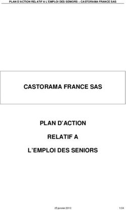 Castorama France Sas Plan D Action Relatif A L Emploi Des Seniors Plan D Action Relatif A L Emploi Des Seniors Castorama France Sas