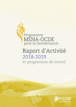 Raport d'Activité 2018-2019 et programme de travail - OECD.org