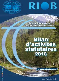 Bilan d'activités statutaires 2018 - Réseau International des Organismes de Bassin