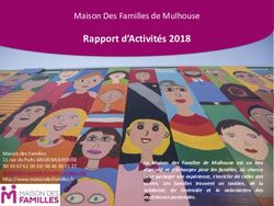 Rapport d'Activités 2018 - Maison Des Familles de Mulhouse