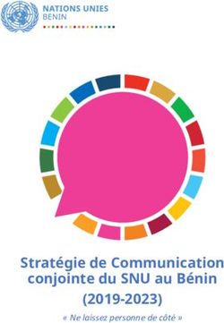 Strat&eacute;gie de Communication conjointe du SNU au B&eacute;nin (2019-2023) - " Ne laissez personne de c&ocirc;t&eacute; "
