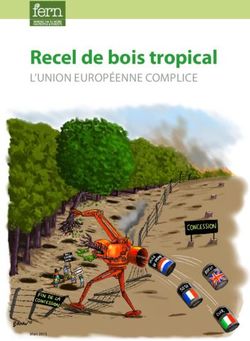Recel de bois tropical - Recel de bois tropical l'Union eUropéenne complice - Fern