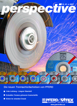 Die neuen Trennschleifscheiben von PFERD - März 2007