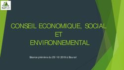 CONSEIL ECONOMIQUE, SOCIAL ET ENVIRONNEMENTAL - S&eacute;ance pl&eacute;ni&egrave;re du 25/10/2019 &agrave; Bourail - Cese NC