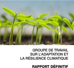 RAPPORT DÉFINITIF GROUPE DE TRAVAIL SUR L'ADAPTATION ET LA RÉSILIENCE CLIMATIQUE - Canada.ca