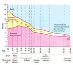 Le sommeil et ses troubles - Insomnies et troubles du rythme circadien
