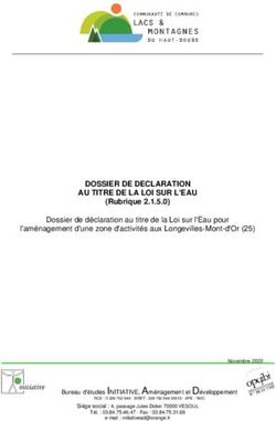 DOSSIER DE DECLARATION AU TITRE DE LA LOI SUR L'EAU