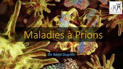 Maladies &agrave; Prions Dr R&eacute;mi Dupr&egrave;s - ONCLE PAUL