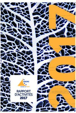 RAPPORT D'ACTIVIT&Eacute;S 2017 - Belgian Ceramic Research Centre