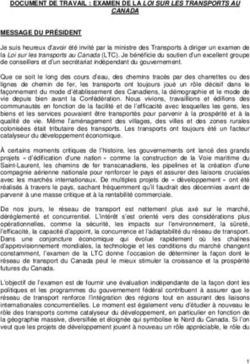 DOCUMENT DE TRAVAIL : EXAMEN DE LA LOI SUR LES TRANSPORTS AU