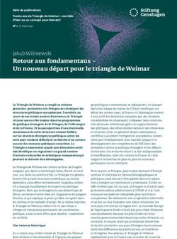 Retour aux fondamentaux - Un nouveau d&eacute;part pour le triangle de Weimar - Stiftung ...