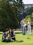 LA CONTRIBUTION &Eacute;CONOMIQUE DES C&Eacute;GEPS ET DES CENTRES COLL&Eacute;GIAUX DE TRANSFERT DE TECHNOLOGIE