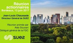R&eacute;union actionnaires Bordeaux, 13 juin 2017 Jean-Louis Chaussade Directeur G&eacute;n&eacute;ral de SUEZ - F2iC