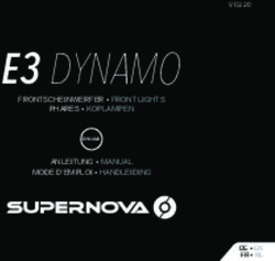 E3 DYNAMO - Supernova Lights