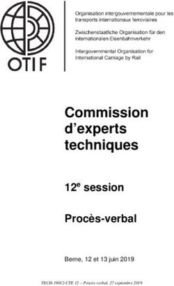 Commission d'experts techniques - Procès-verbal 12e session - OTIF