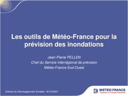 Les Outils De Meteo France Pour La Prevision Des Inondations Jean Pierre Pellen Chef Du Service Interregional De Prevision Meteo France Sud Ouest