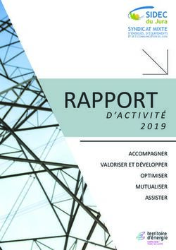 RAPPORT - SIDEC du Jura SYNDICAT MIXTE D'&Eacute;NERGIES, D'&Eacute;QUIPEMENTS ET DE E-COMMUNICATION DU JURA