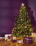 Un No&euml;l comme on l'aime - 20.-OFFERTS PAR TRANCHE D'ACHAT DE 100 - Manor.ch