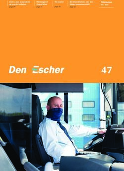 47 Printemps - Ville d'Esch-sur-Alzette