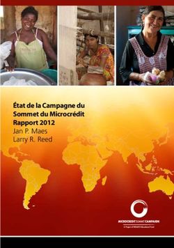 État de la Campagne du Sommet du Microcrédit Rapport 2012 Jan P. Maes Larry R. Reed
