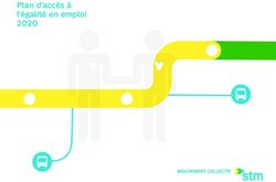 Plan d'accès à l'égalité en emploi 2020 - STM