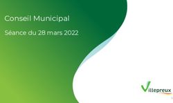 Conseil Municipal S&eacute;ance du 28 mars 2022 - Villepreux