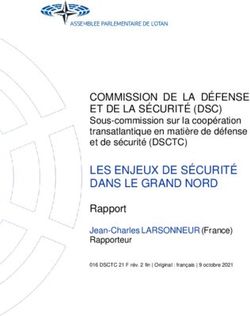 LES ENJEUX DE SÉCURITÉ DANS LE GRAND NORD - Rapport Jean-Charles LARSONNEUR (France) Rapporteur - NATO PA