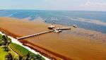 Sargassum Monitoring Cartes officielles & dernières infos concernants l'invasion des sargasses dans tous les pays impactés