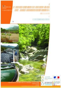 Stratégie d'organisation des compétences locales de l'eau - (SOCLE) Bassin de Corse - DREAL Corse